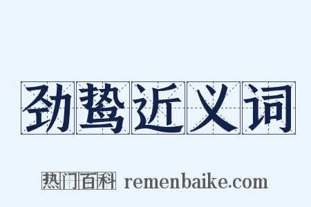 劲鸷近义词是什么意思的图片